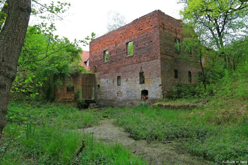 Ruiny młyna Niemieczkowo