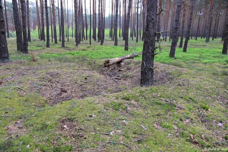 Zarysy ziemne obiektów obozowych