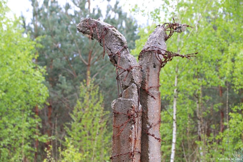 Fragment ogrodzenia w powojennej części obozu